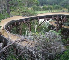 4562298-14645544-thumbnail