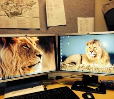 b33d8e124269ddd65008127d026a181a