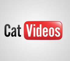 4760e7ce15fa66eb6564fcfacee4814a