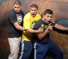 48f6898226f51606bc33a2f24431e37e_width_600x