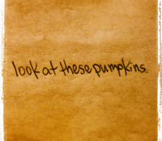 Screen Shot 2013-11-08 at 9.56.43 AM