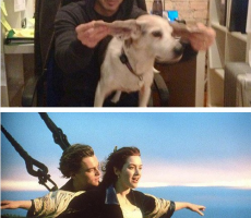 Screen Shot 2014-03-03 at 12.21.32 PM