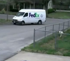 Screen Shot 2014-04-04 at 10.36.11 AM