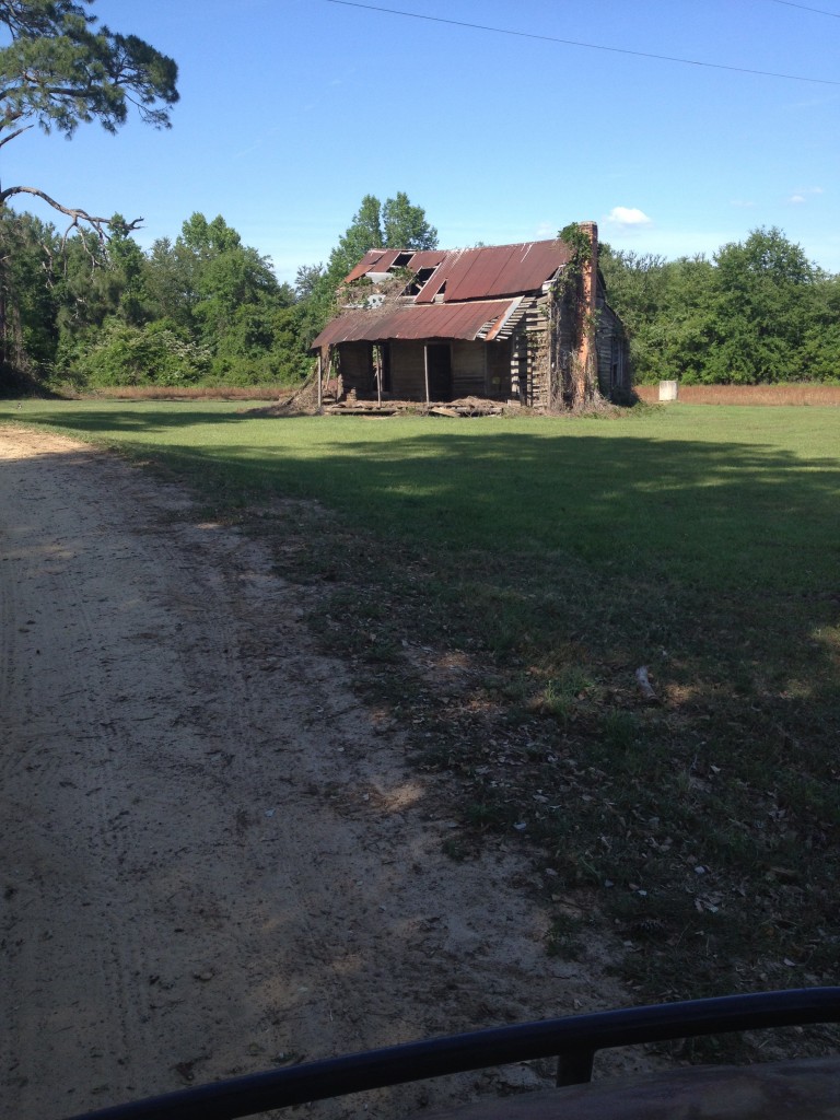 1e558d47a7b8d3c263203eeb66c04678