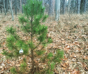 0791efb829838b559d5ed2156ae4bb1f