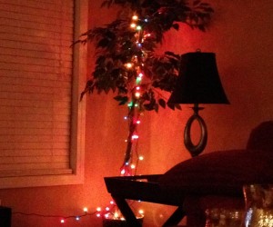 f16c554f9665ad4b1e05ad6834f4c926-e1387299771702