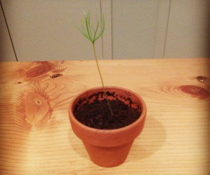 9b2eb6e22a1d8ab69cfbcd1f9f67e133