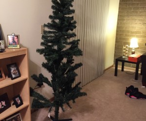 d923ecafc65b22b220db2a7d5006618b