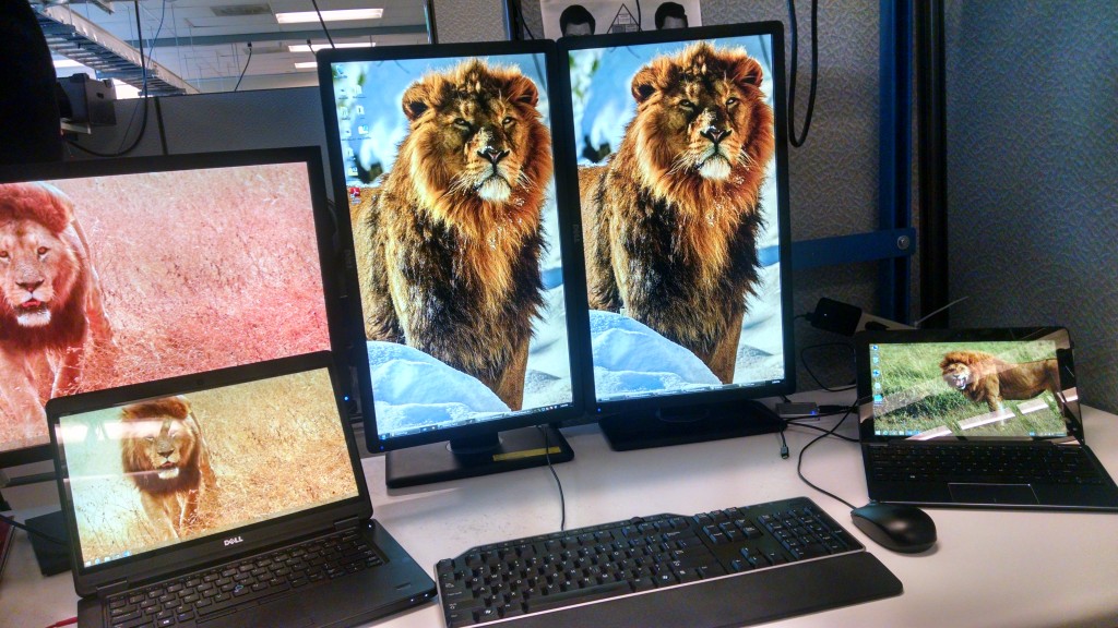 7929a22f9a9f6b5a2cf6988e247d19e7