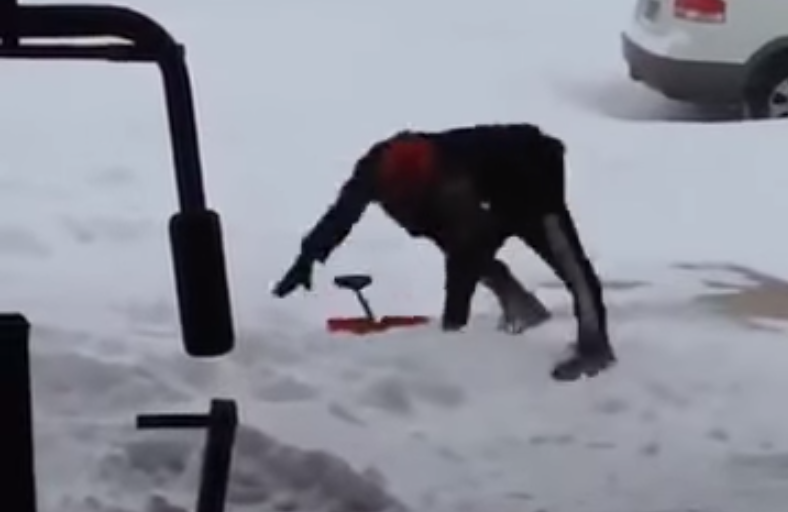 Screen Shot 2015-02-20 at 2.30.25 PM