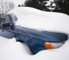 shutterstock_240645631