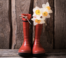 Spring Is The Most Overrated Season