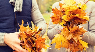 Platonic Fall Girl Friends Application: The Answers