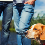 The Hardest Part About The Breakup Was Leaving Her Dog