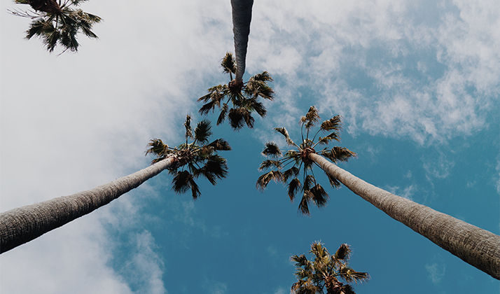 Listen To The Post Grad Problems Spring Break Cruise Preview