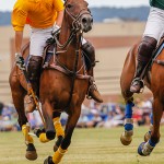 Is This Polo Brunch In Palm Beach The Most Uppity Event Ever?