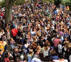 St. Paddy's Day May Force Me Into Day Drinking Retirement