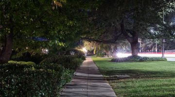 The Cubicle Warrior's Double Life: Tinder