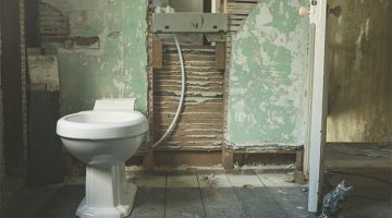 Python Bites Man's Penis During Routine Bathroom Visit In Thailand, But He's Perfectly Fine