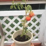 fee7c4b582ab30aa5e125459d330e023