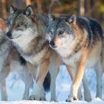 I'm Getting Fucked Up Tonight