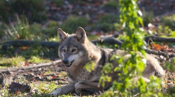 I Got Fucked Up Last Night