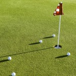 Man With Very Baller Backyard Is Engaging In The Greatest HOA Battle Of All-Time