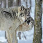 I Got Fucked Up Last Night