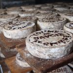 Here's An Excuse To Eat All The Cheese You Want Over Thanksgiving