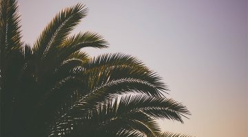 Spring Break Up, Part 1