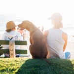 What The Type of Dog You Have Says About You