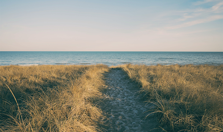 Congratulations To The New York Times For Writing The Wealthiest Column Ever