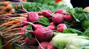 Things Girls Do After Graduation: Diet