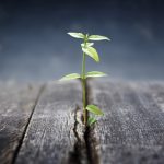 Sometimes You Have To Start Over