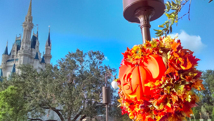 I Went To Disney World For The First Time At 26 And Had The Happiest Time On Earth