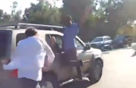 100+ Of The Best Vines From 2013