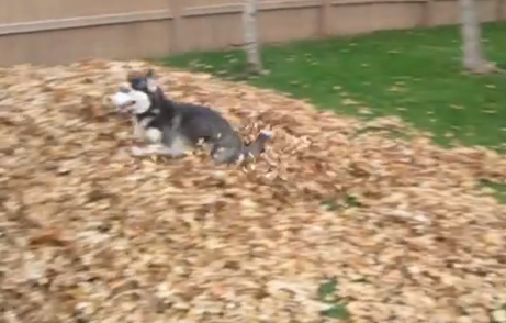 Screen Shot 2013-10-17 at 4.13.33 PM