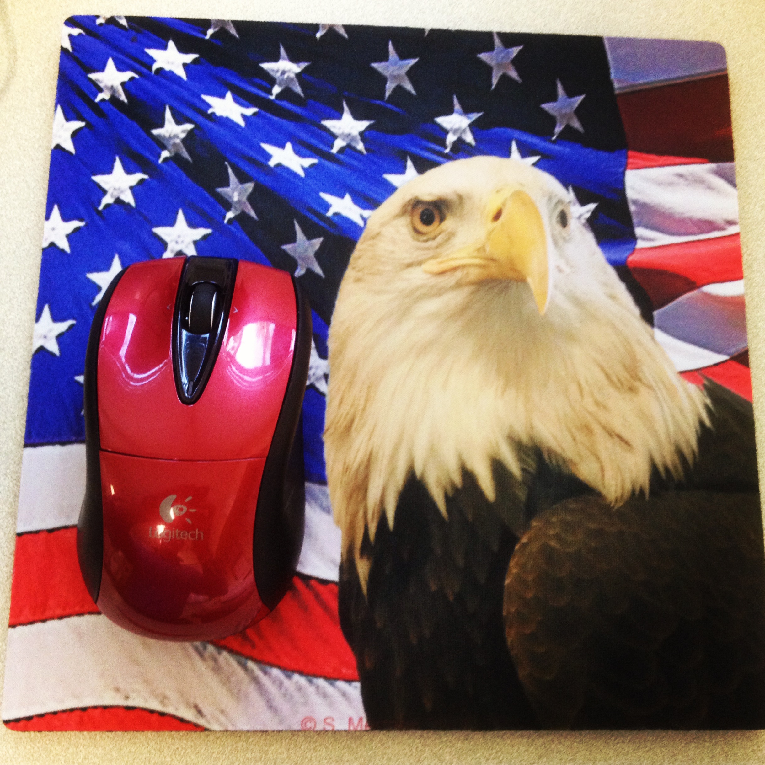 0600f2665edd96f14390f48727bfb7cb