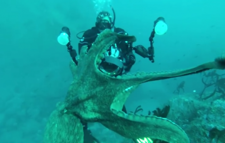 Screen Shot 2014-02-18 at 5.53.01 PM