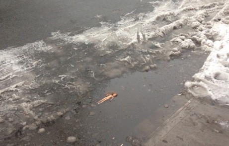 tumblr_inline_n0k2ejQ9QB1rbsqj6