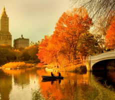 Screen Shot 2014-09-08 at 2.16.50 PM